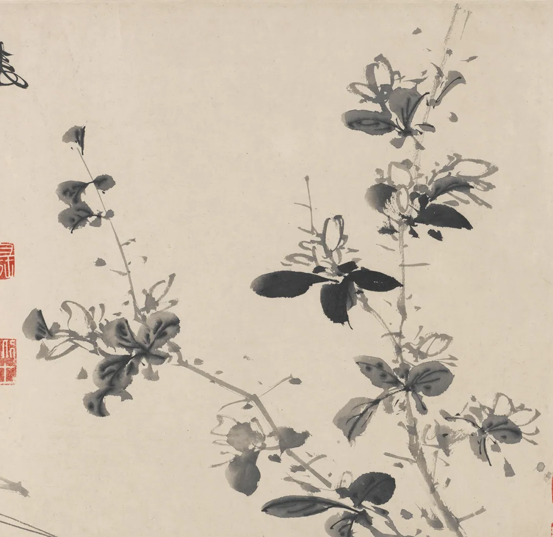 欣赏徐渭的十二墨花图,感受其艺术魅力