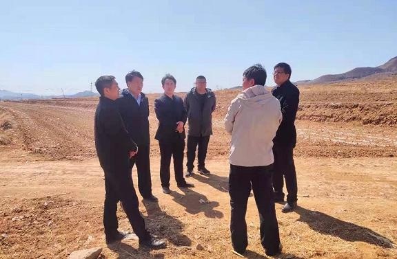 敖汉旗政府副旗长田国瑜调度设施农业进展情况
