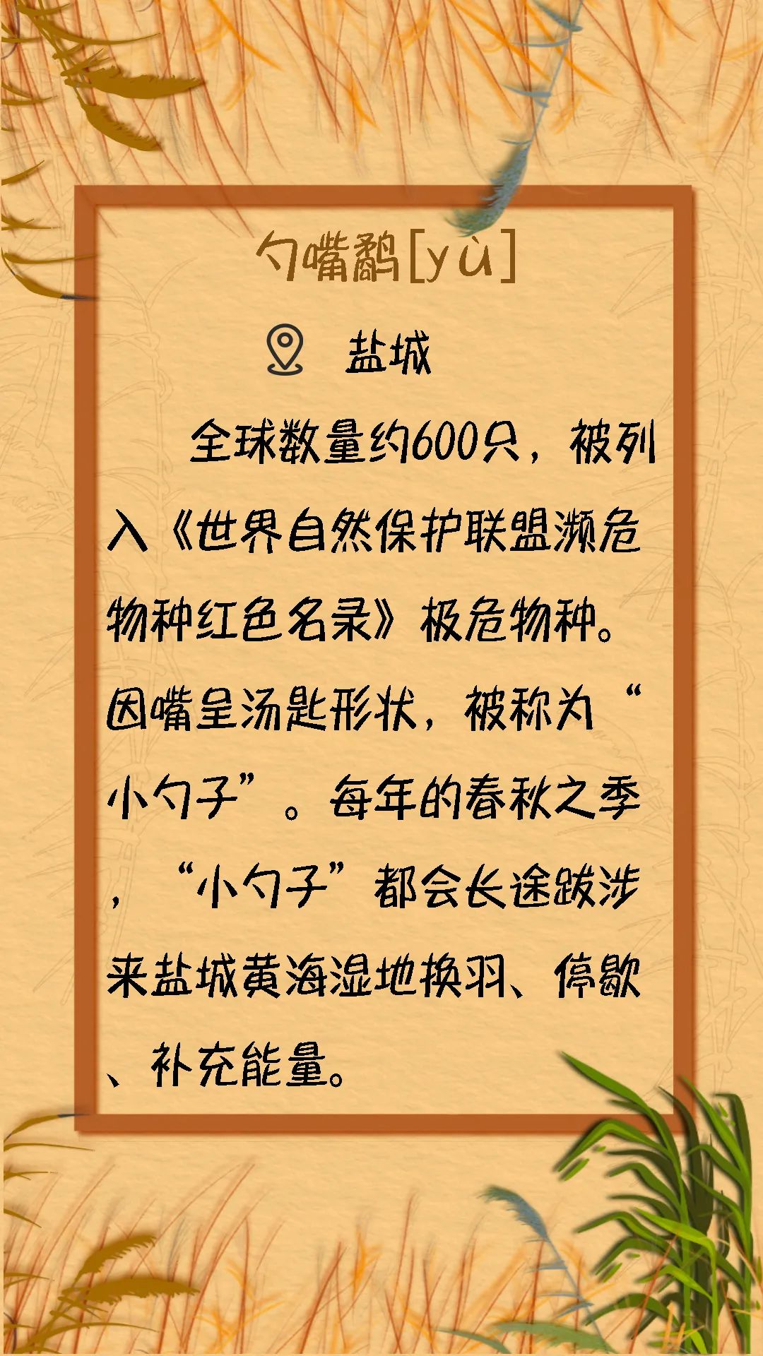 摄> 苏州林业站 供图> 苏州林业站 供图> 阿惠 摄> 南通海底世界 供图