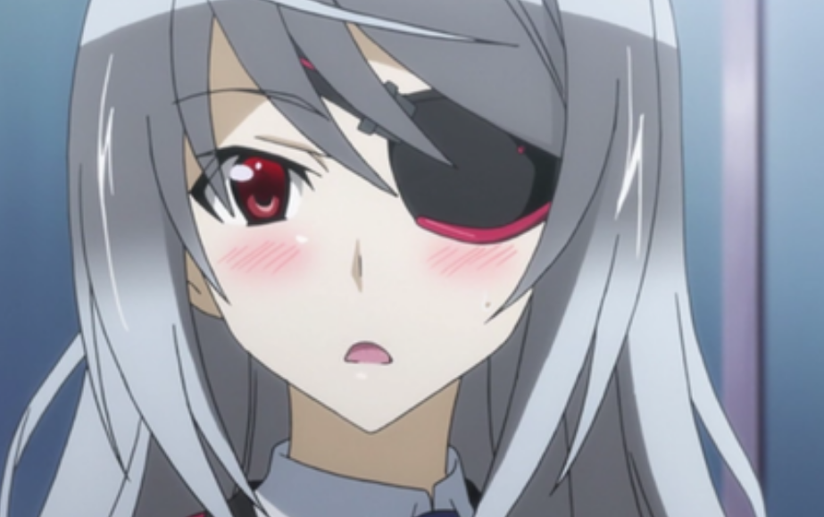 名作之壁《无限斯特拉托斯》,垃圾后宫漫泛滥的源头