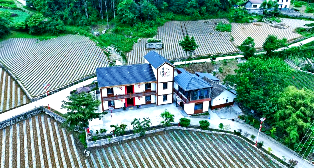 长阳火烧坪:从高山蔬菜到民宿群落,乡村振兴新路径探索