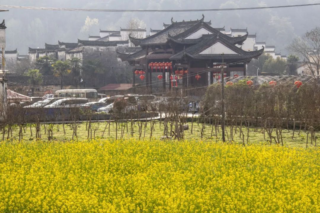 图|婺源思溪延村随手拍春天