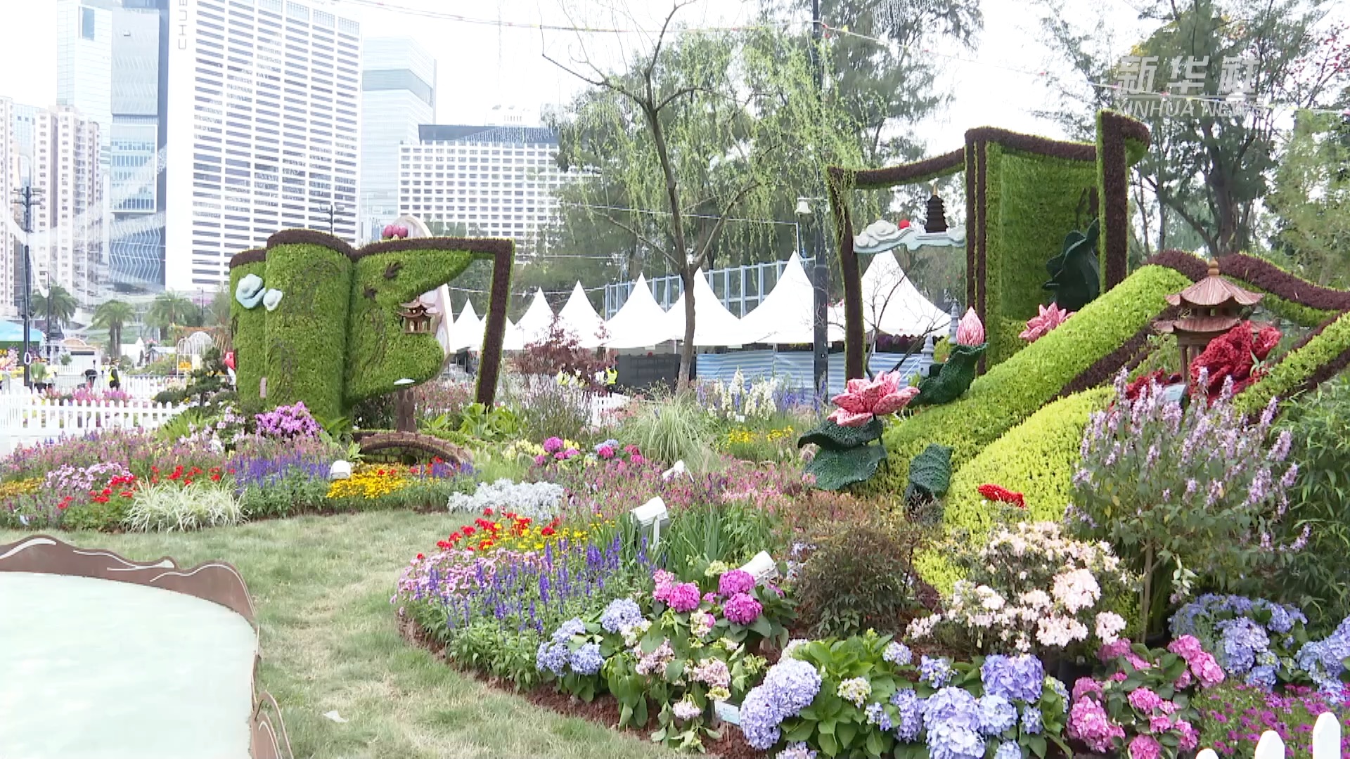 2024年香港花卉展即将开幕 维多利亚公园变身花海
