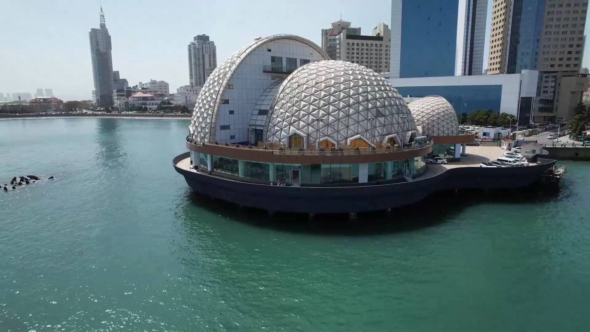 青岛海上皇宫焕新 变身"奇幻海世界"