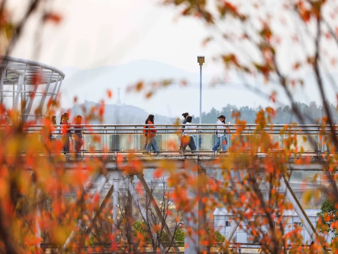 贵州健康职业学院2023年分类考试招生章程(学校代码:0023)