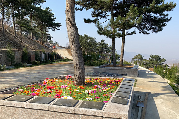 北京树葬墓地有哪几家?价格分别是多少钱?