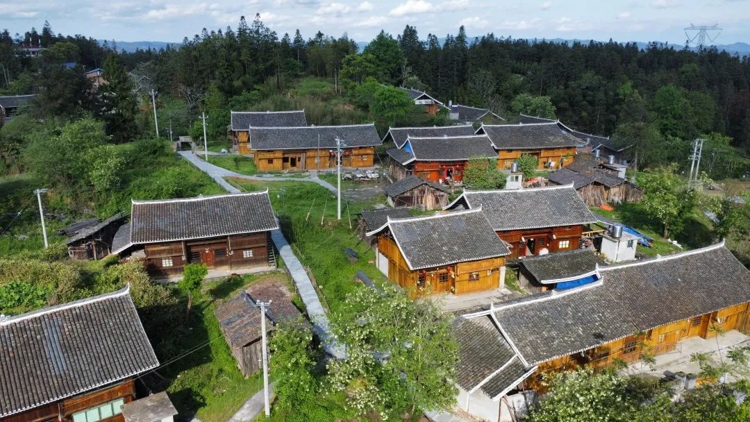 「和美城乡"四大行动"」石洞镇槐寨村:"美丽庭院"扮靓村貌焕新颜