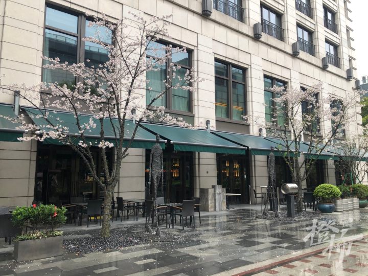 武林商圈外摆,摆什么?如何摆?大家的问题,我们都去问了!