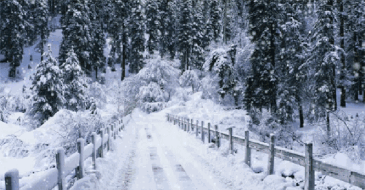 北风吼天渐寒请添衣