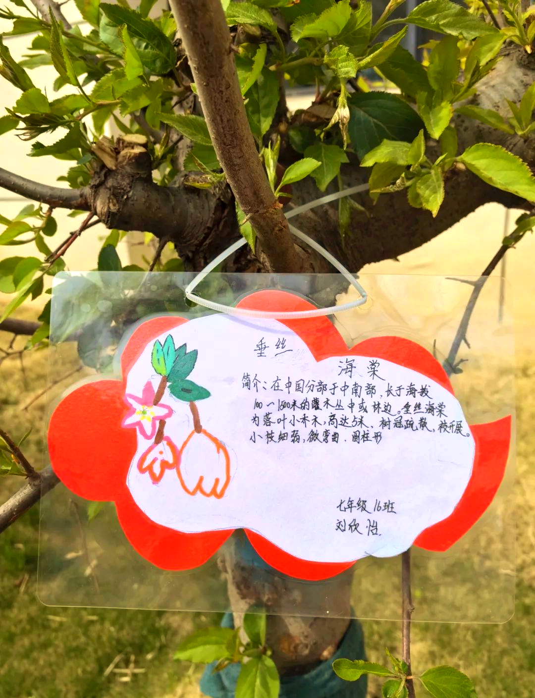 春日里,画笔下的绿色生机勃勃,名牌上的树木仿佛跃然而出