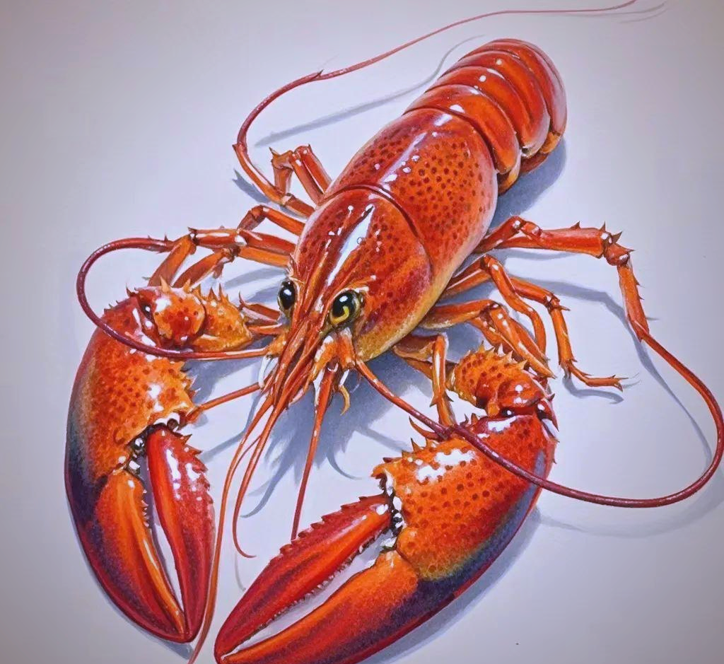 惊艳至极!众多超写实彩铅佳作,带你领略视觉盛宴!