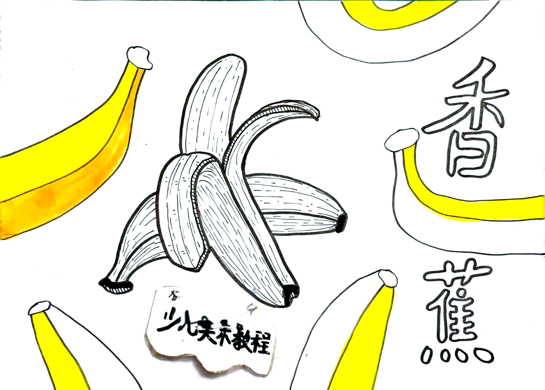 探索水果世界:香蕉的多样魅力与丰富营养