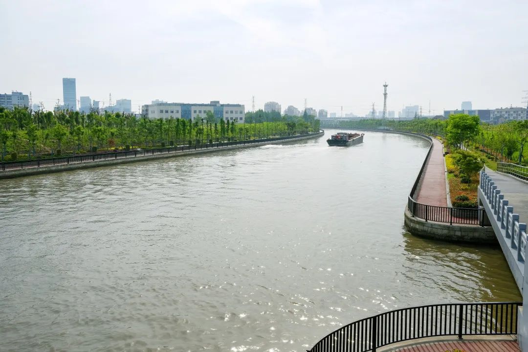 松江:淀浦河(松江段)蜿蜒流淌,一起去赏秋观水吧