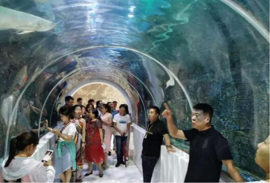 何志强教授带领学员游学江阴