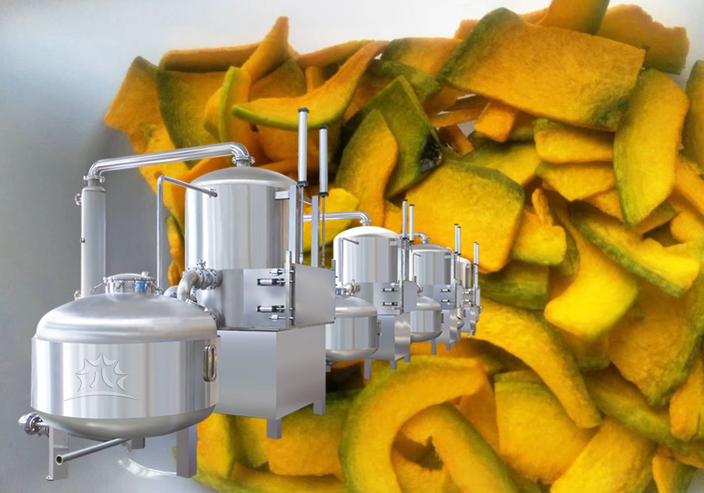一款加工果蔬脆片的设备