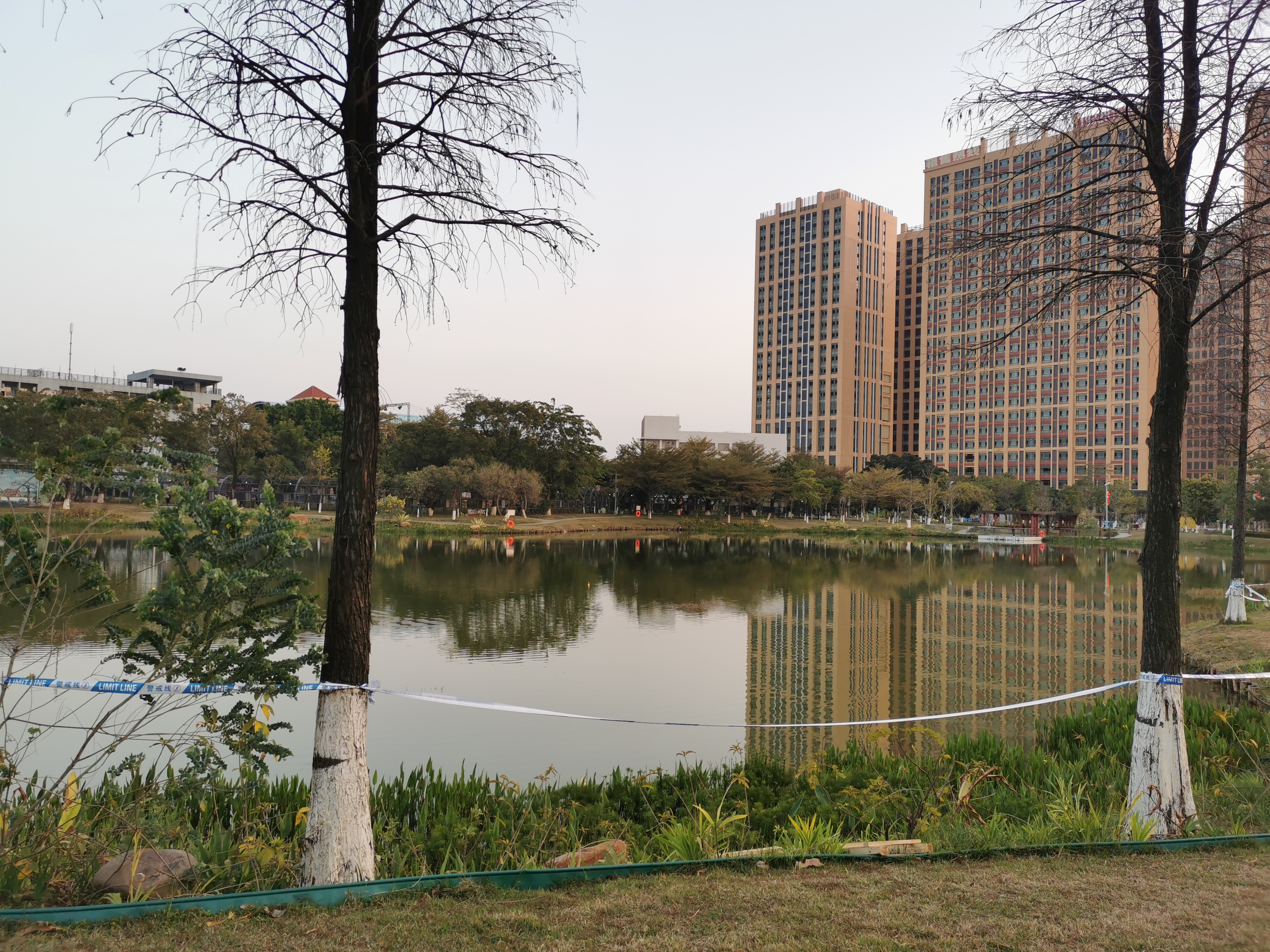 东莞茶山的一个公园,虽然只是镇公园,但却做出一线城市感觉