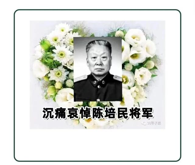 「怀念」杨恩章|"守口如瓶"彰亮节——感念陈培民老首长