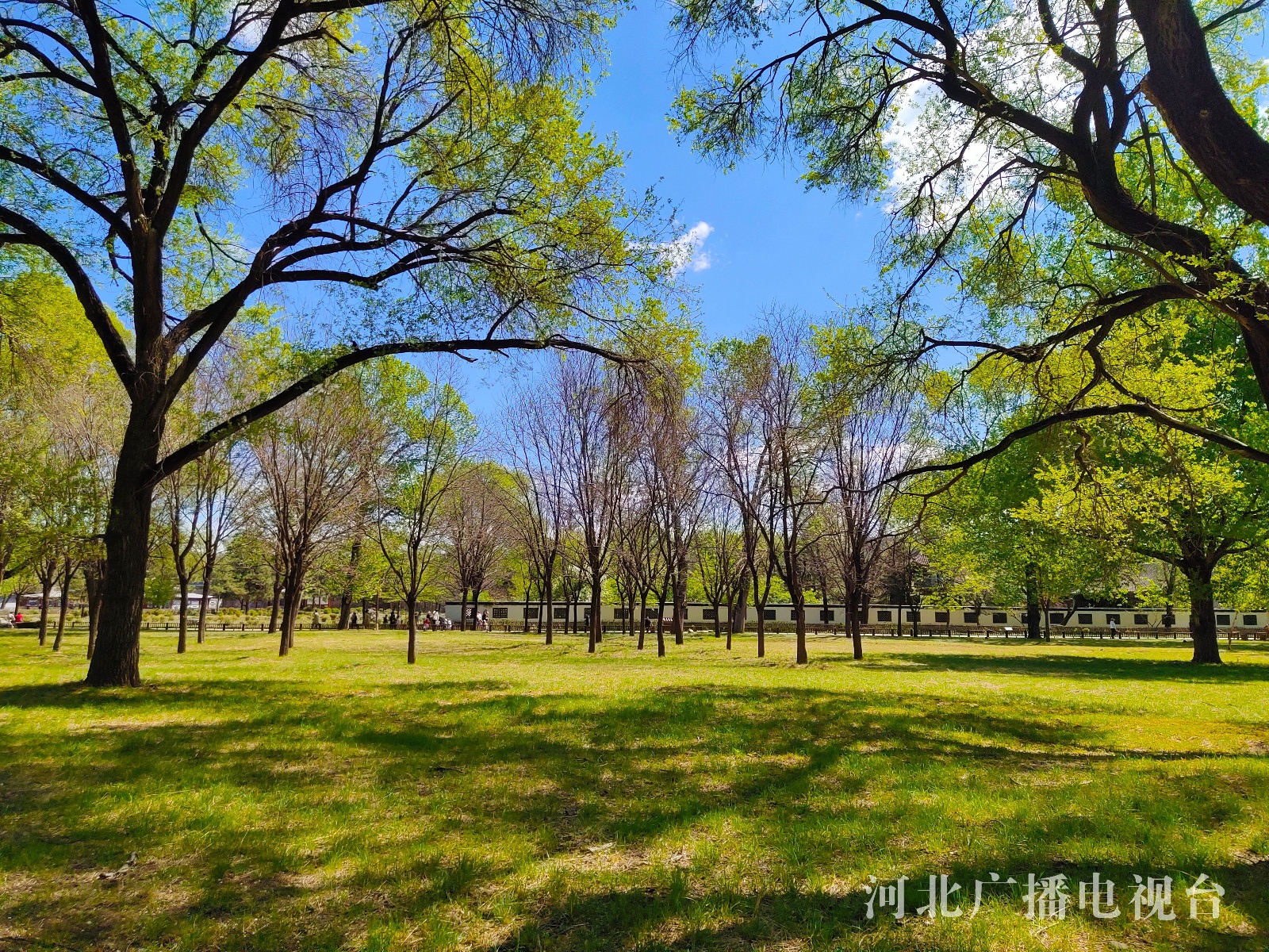 河北承德:走进"乾隆三十六景"中的万树园