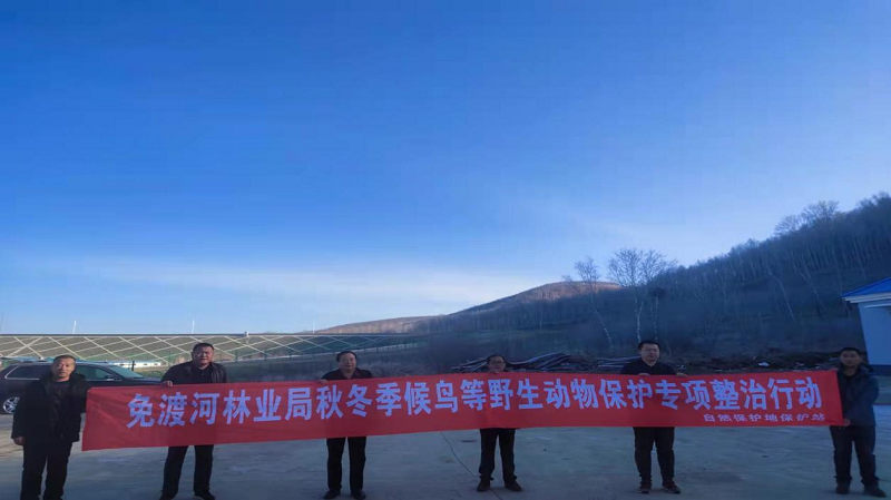 免渡河林业局开展秋冬季候鸟等野生动物保护专项行动进林场活动