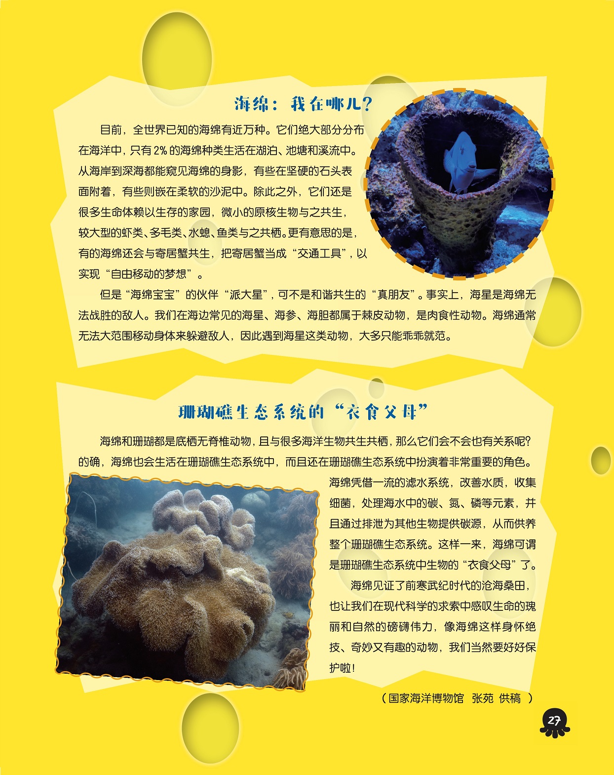 海绵宝宝珊瑚礁图片