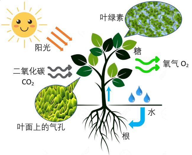 将沙漠种满树,能逆转全球变暖吗?深度分析4种帮地球降温的方法