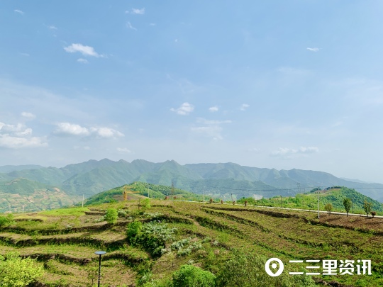 鄉村振興|旬陽李家臺村花海民宿園五一開放,見山望水獨家好景