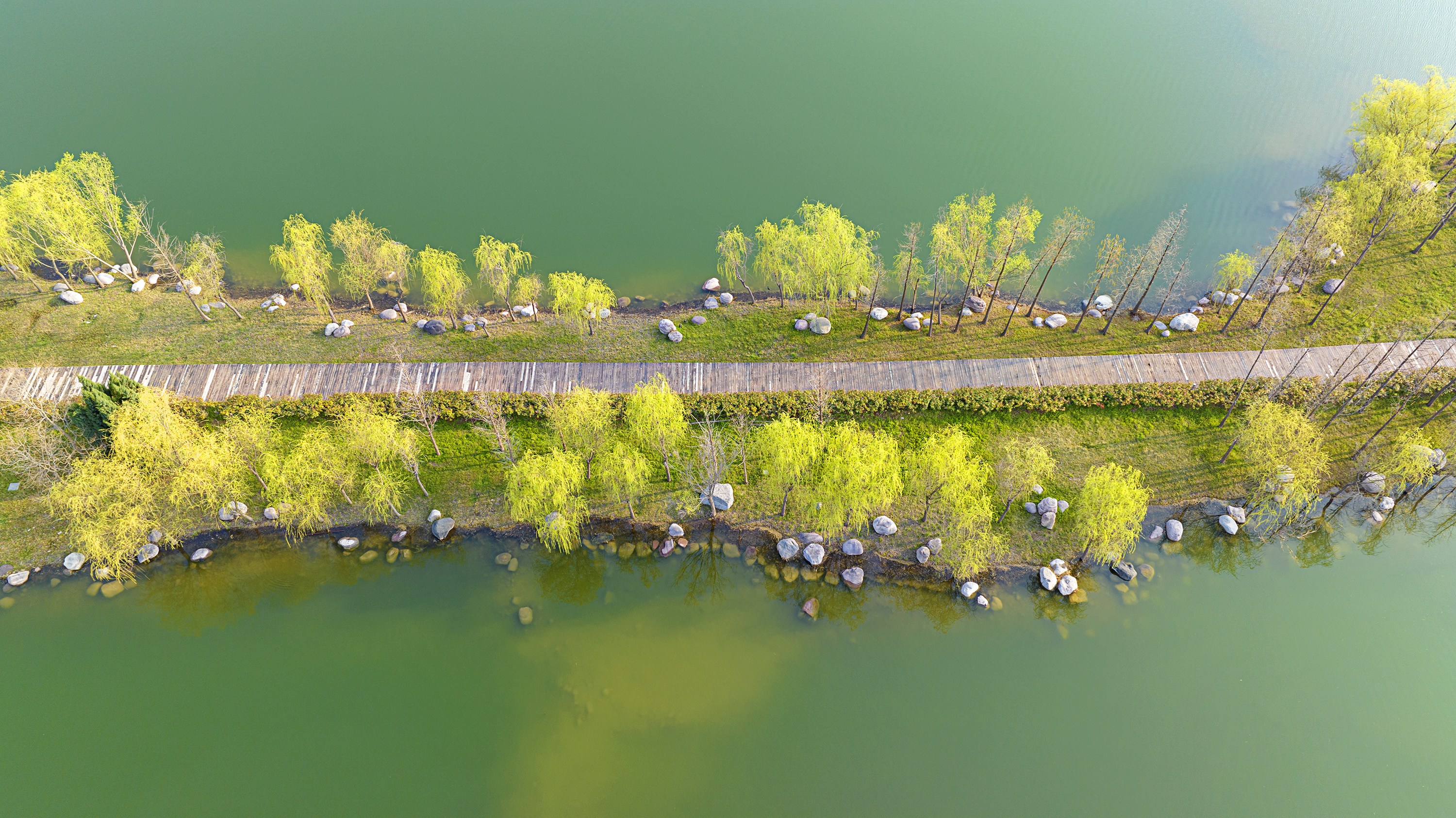 济源坡头黄河湿地公园图片