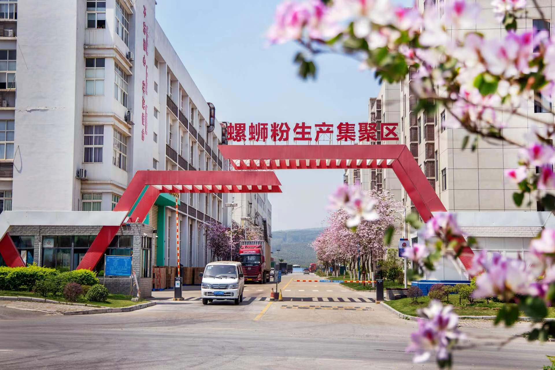 全国"一县一品"特色文化艺术典型案例 柳南螺蛳粉小镇入选