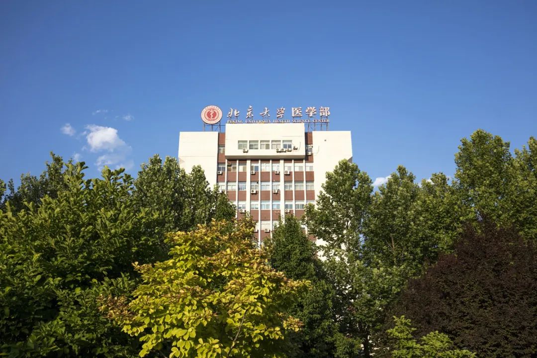 北京大学校园网=北京大学校园网站