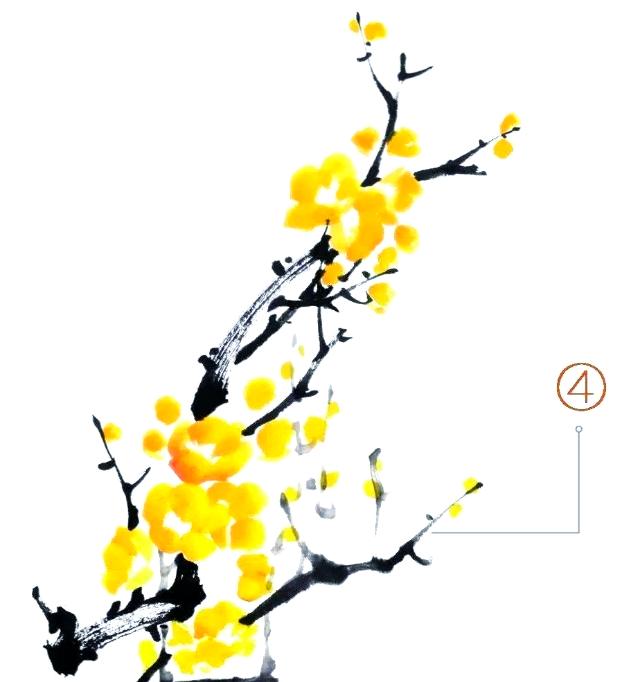 腊梅画的多种画法实例