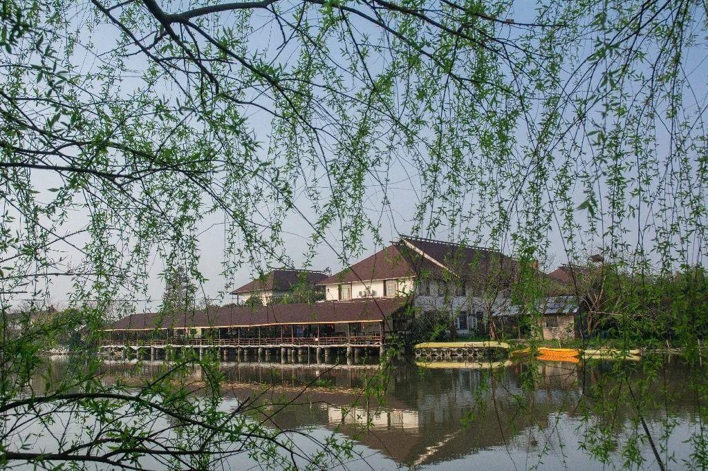 玻璃- 热门商品专区