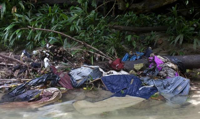 谈谈润人电子宠物