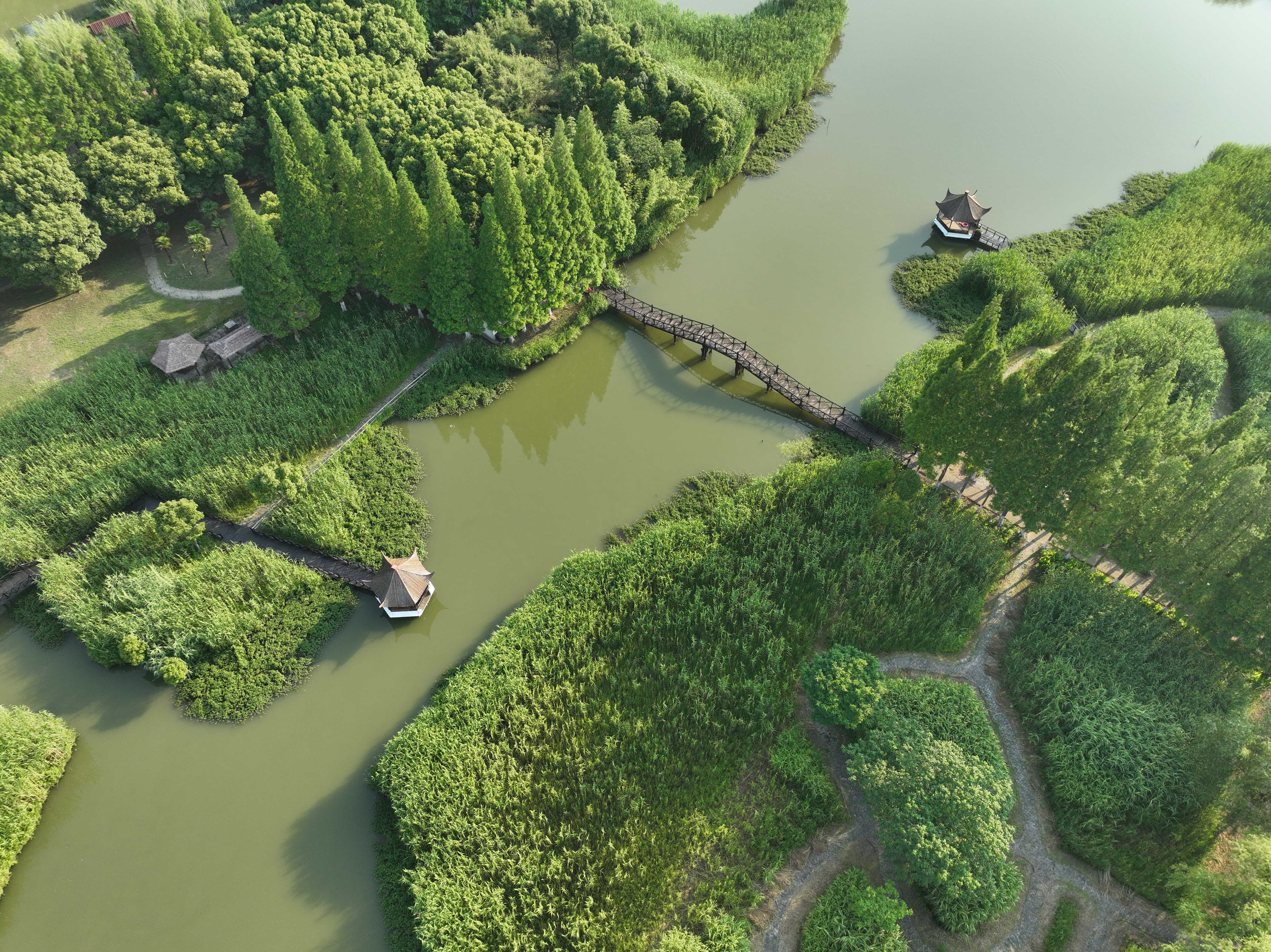 (美丽中国)夏日沙家浜