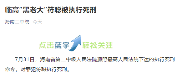 海南临高黑老大符聪被执行死刑,曾组织近百人持械,暴力夺取搅拌站