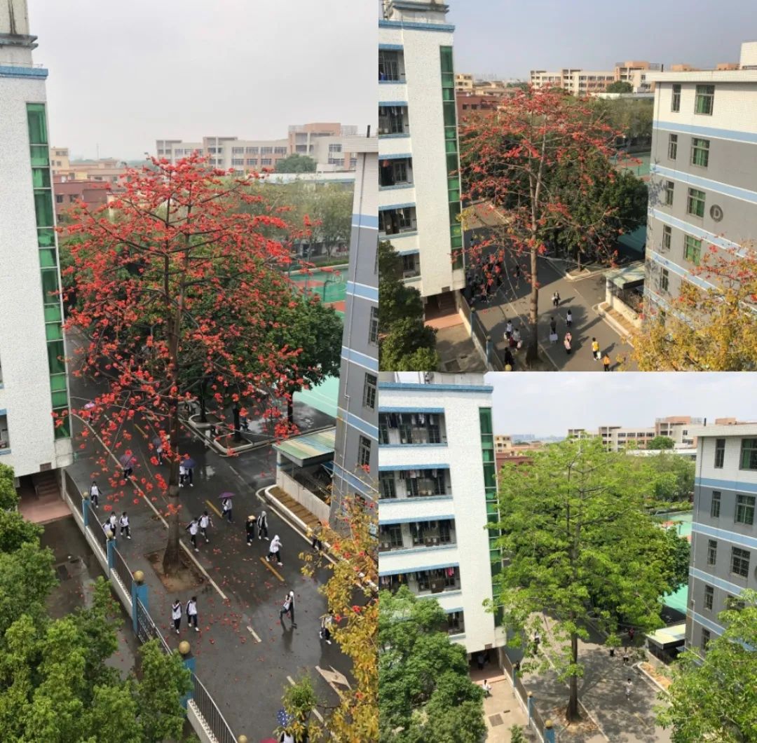 南海第一中学|跑快点啦,去吃蛋挞啊