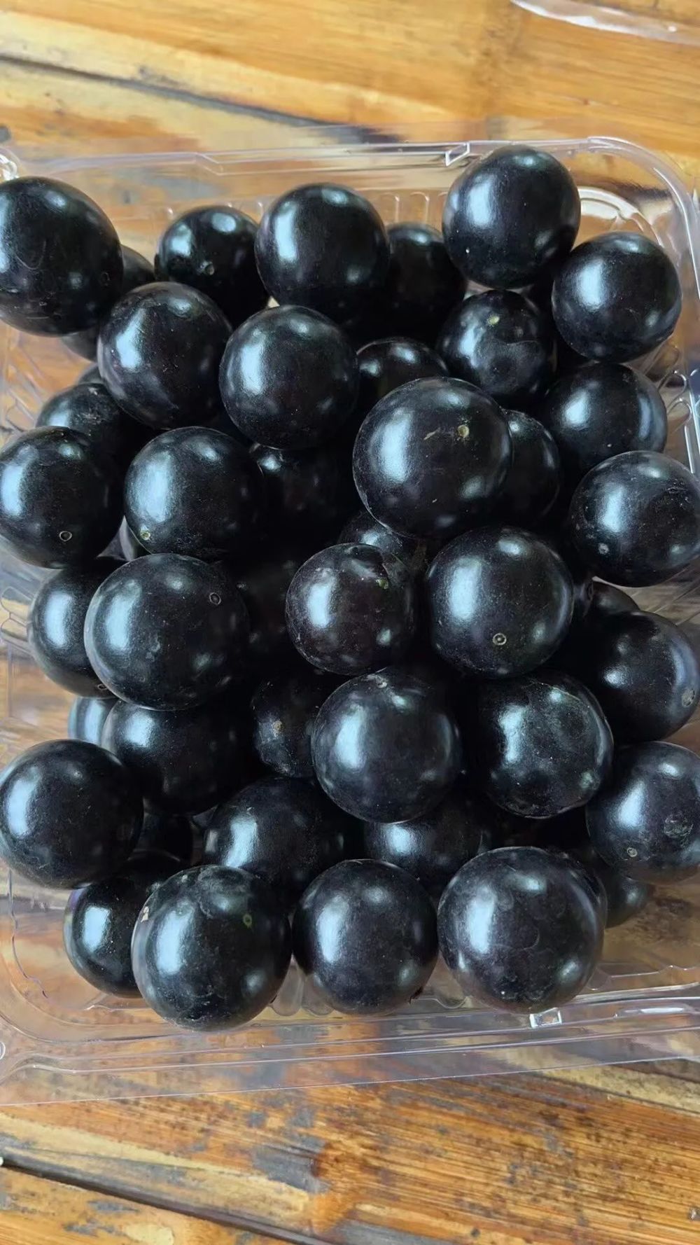 台湾树葡萄嘉宝果怎样种植管理,广东嘉宝果树苗基地价格