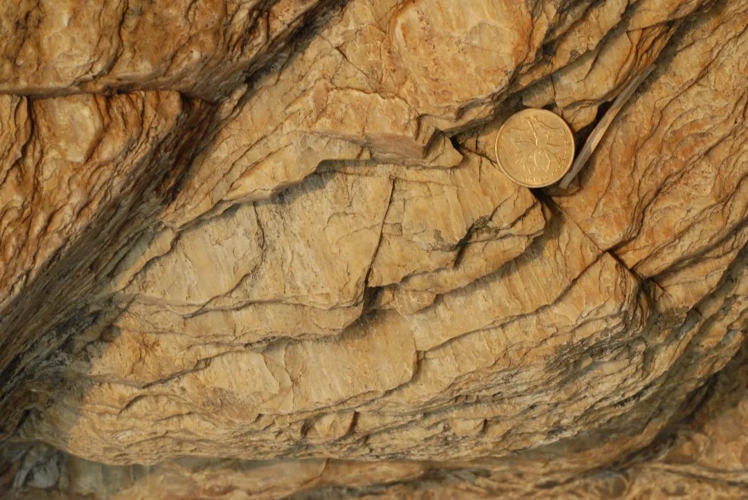 片岩的龙甲状外观(阿尔卑斯山)这些特殊的变质环境是由特殊的变质矿物