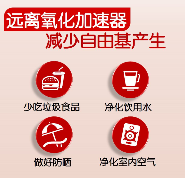 2, 补充抗氧化物质,清除过量自由基