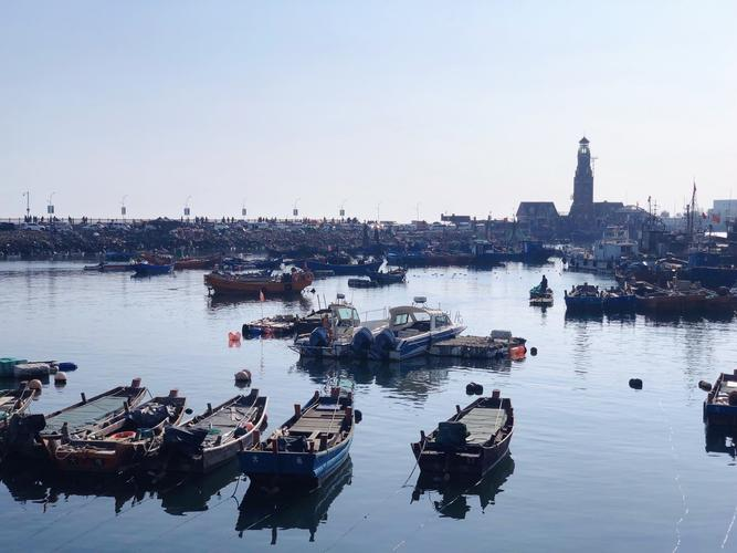 青岛即墨丁字湾的蛤蜊丰收及其经济效益