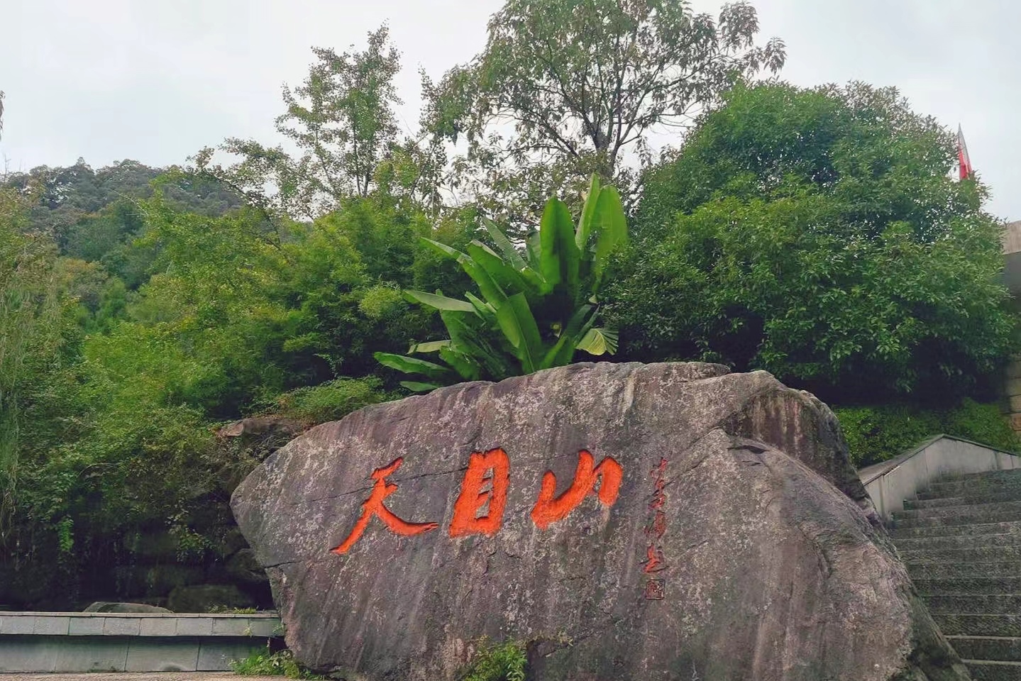 天目山,云雾缭绕,奇观多多.与大自然亲密接触,感受静谧与美妙