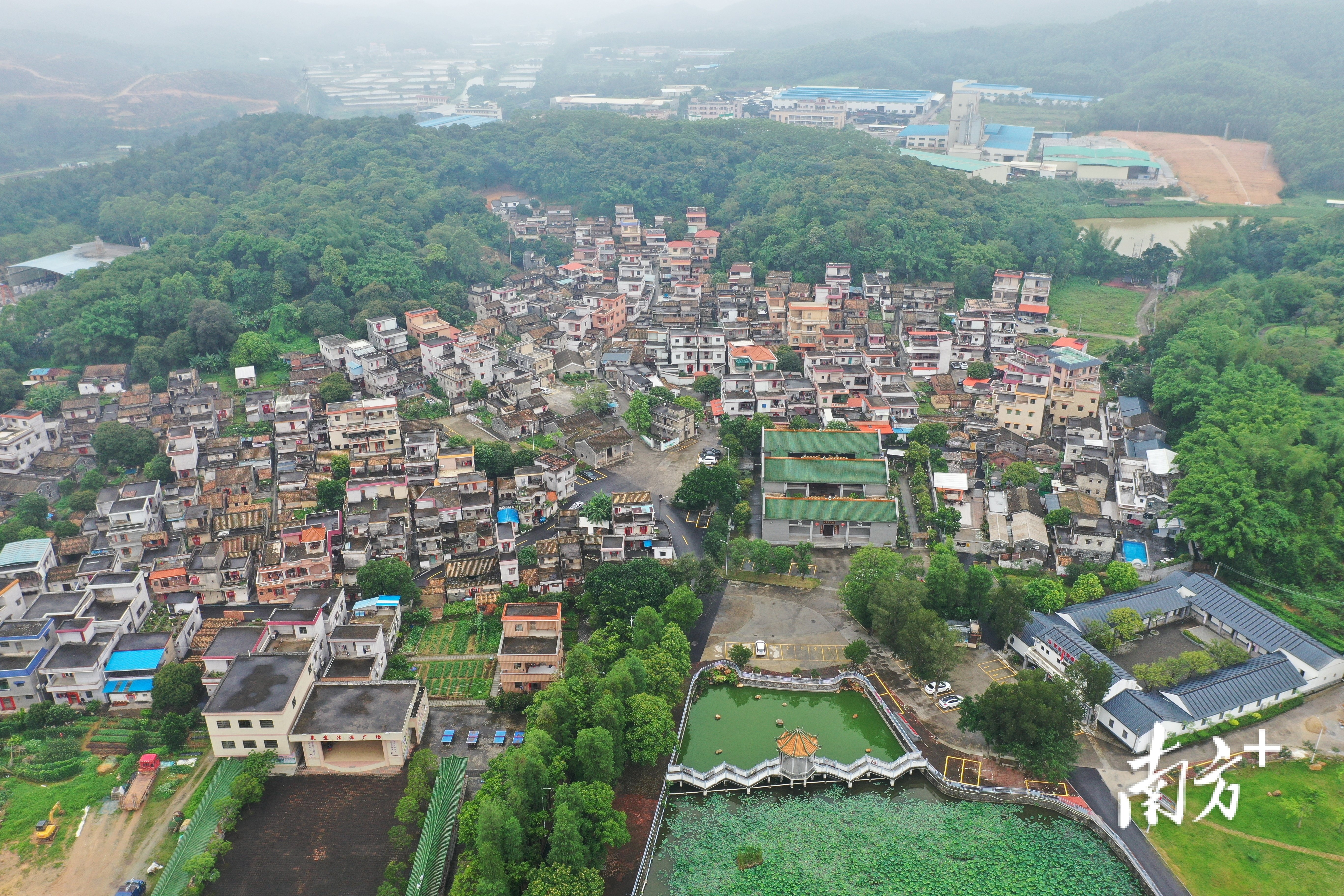 刚柔相济,强本固基|江门政法基层行⑥鹤山站
