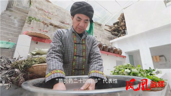 凤凰融媒丨杨贵兴:匠心传承苗药文化 让苗医与时代共鸣