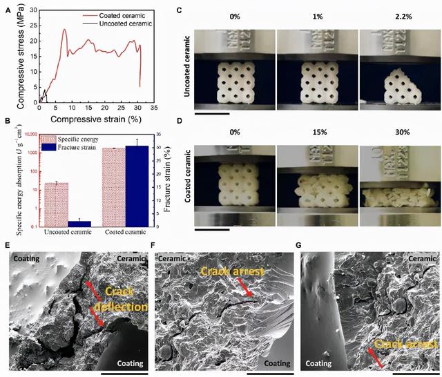 陶瓷材料易破坏怎么办？我们3D打印了聚合物涂层
