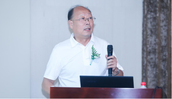 前沿科技"等不来,无处学"——陶瓷岩板创新发展论坛召开