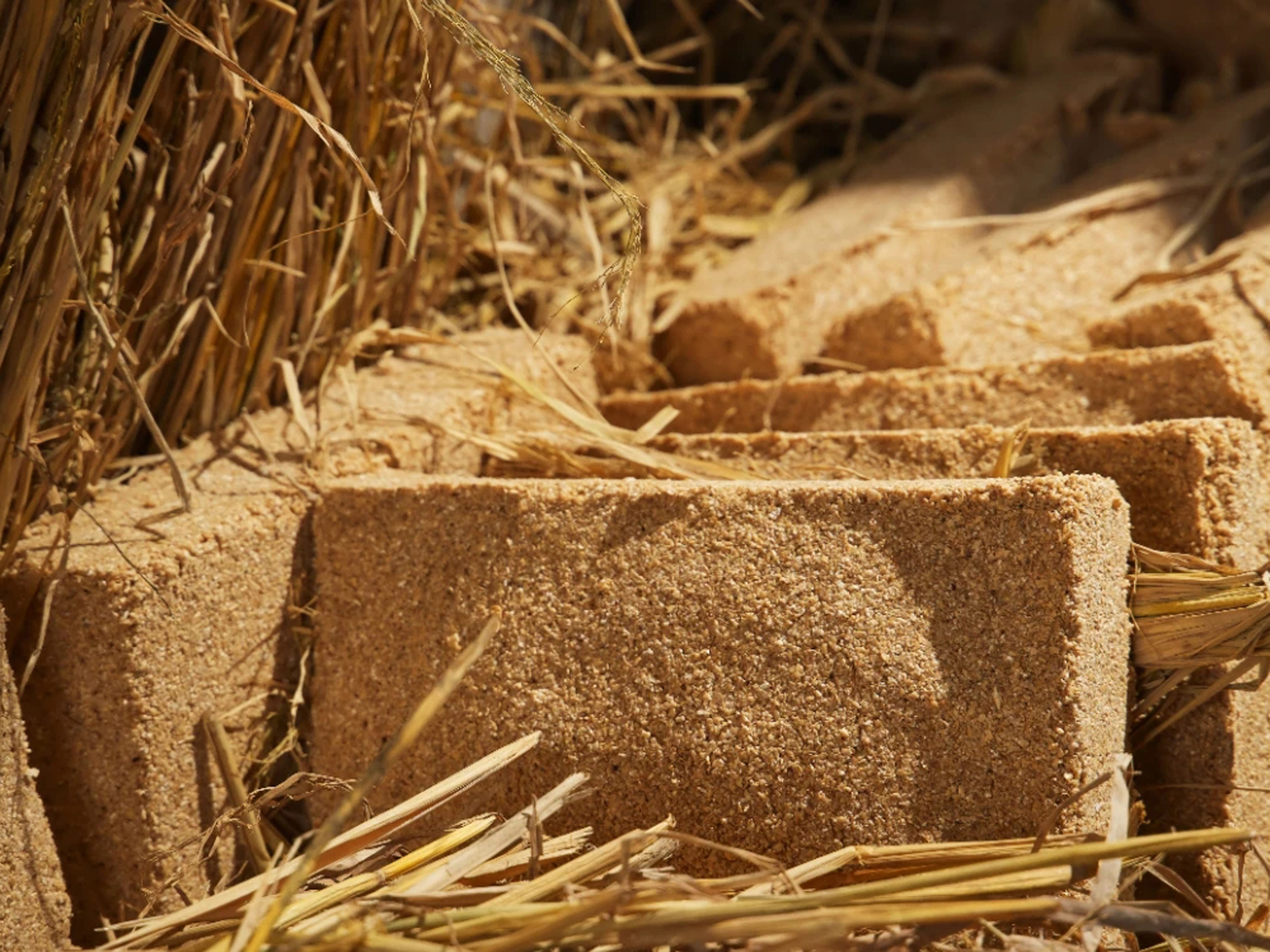 大曲小曲米曲麦曲豆曲麸曲,这么多酒曲老酒客都懵了!看完明白了