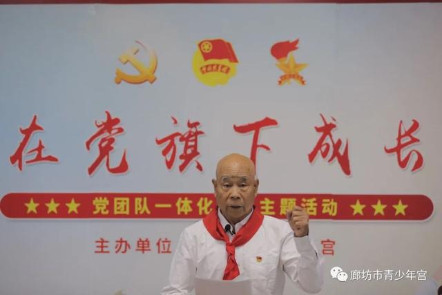廊坊市组织开展"在党旗下成长——党团队一体化传承"主题活动