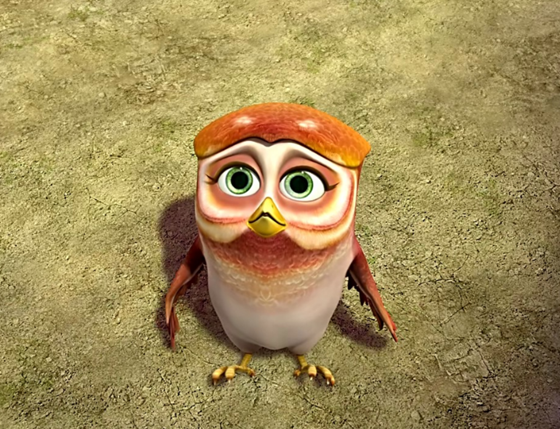 《熊出没》有翠花老鳄的是哪部,熊二的配音员是谁