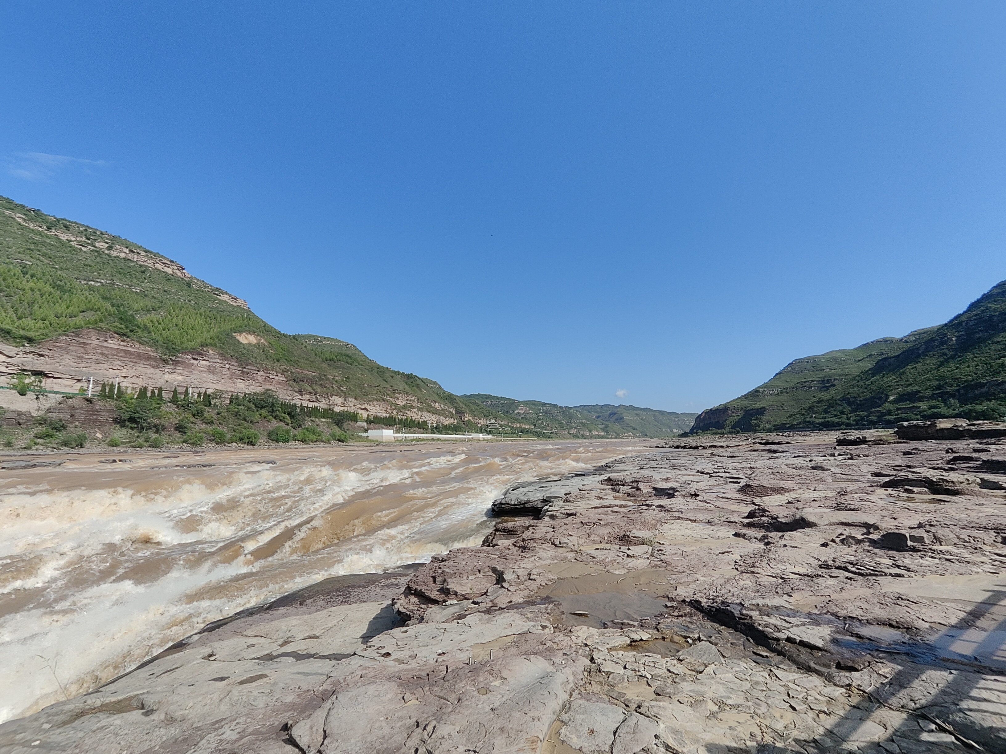 景区动植物走马观花系列-黄河壶口瀑布-吉县(2023年8月12日)