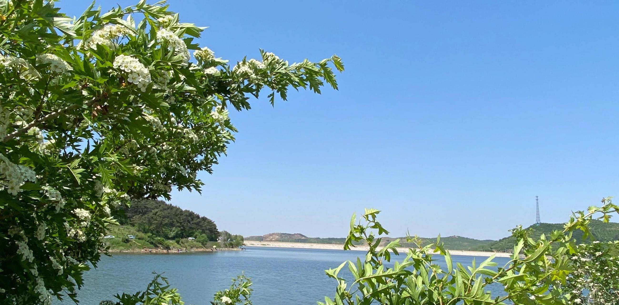 这里是辽宁省海城市的上英水库,号称海城的洱海,碧波荡漾,十里青山