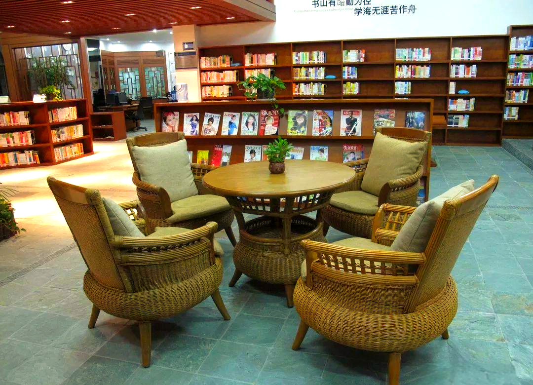 探索大朗特色图书馆:丰富馆藏与多元活动全揭秘